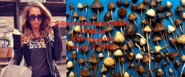 синтетический гашиш Армянск