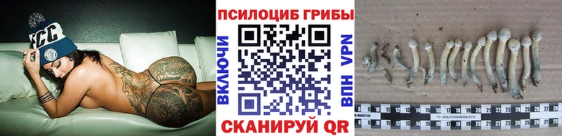 Псилоцибиновые грибы MAGIC MUSHROOMS  ОМГ ОМГ как зайти  Фокино 