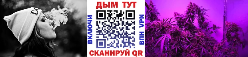 Бошки марихуана OG Kush Фокино
